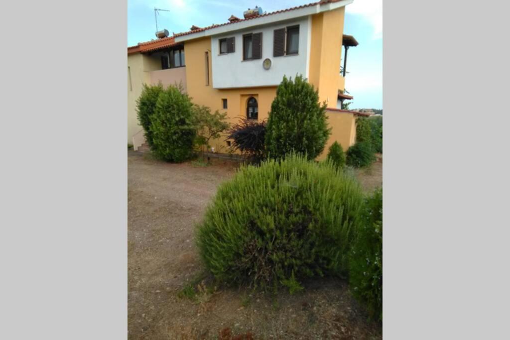 "Klio" Appartment Nikiti  Exterior photo